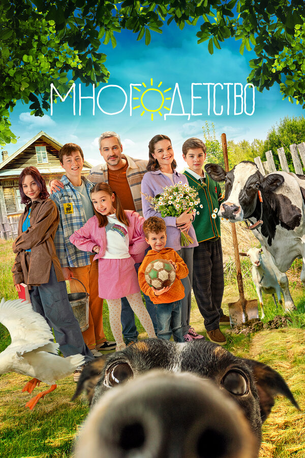 Постер сериала Многодетство