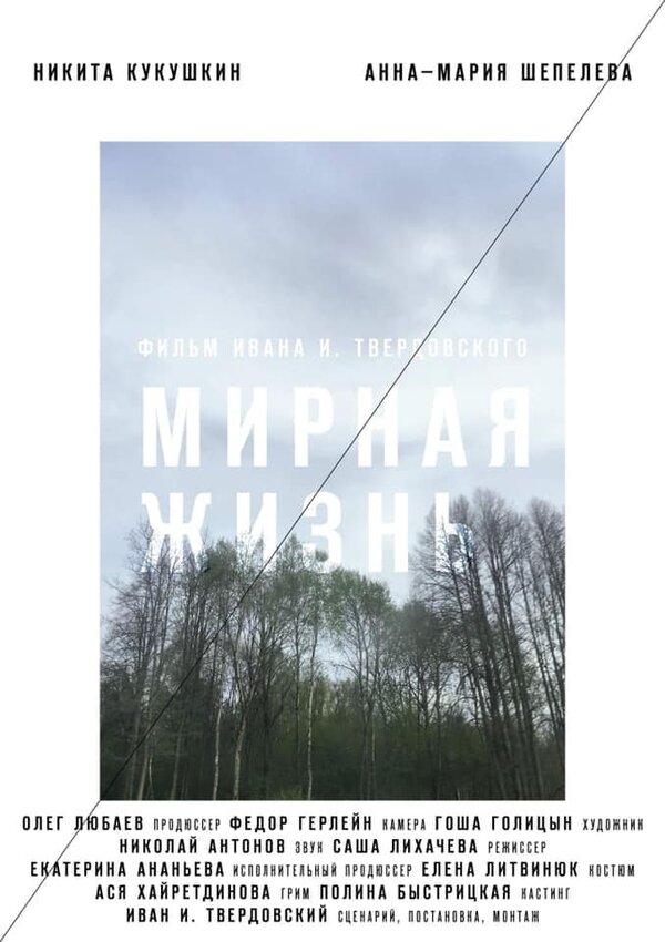 Постер фильма Мирная жизнь