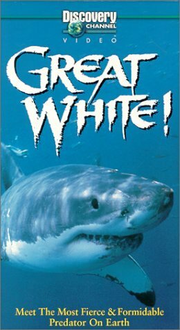 Постер фильма Great White