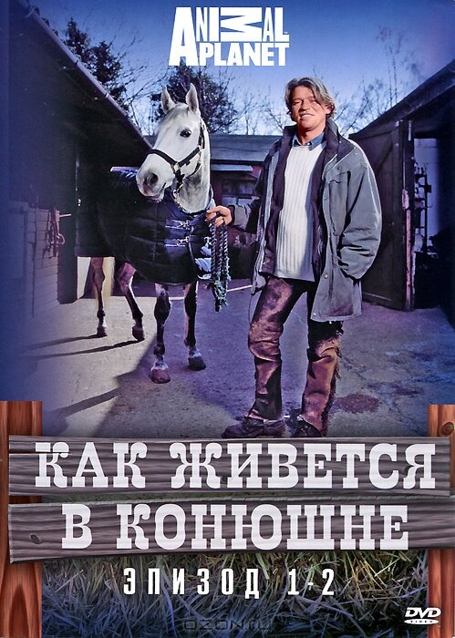 Постер сериала Как живется в конюшне