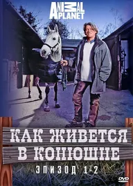 Как живется в конюшне
