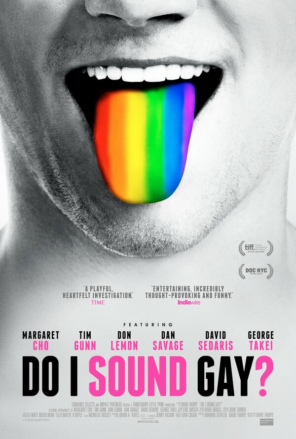 Постер фильма Do I Sound Gay?