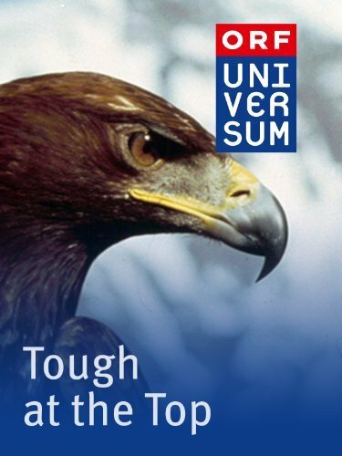 Постер фильма Tough at the Top