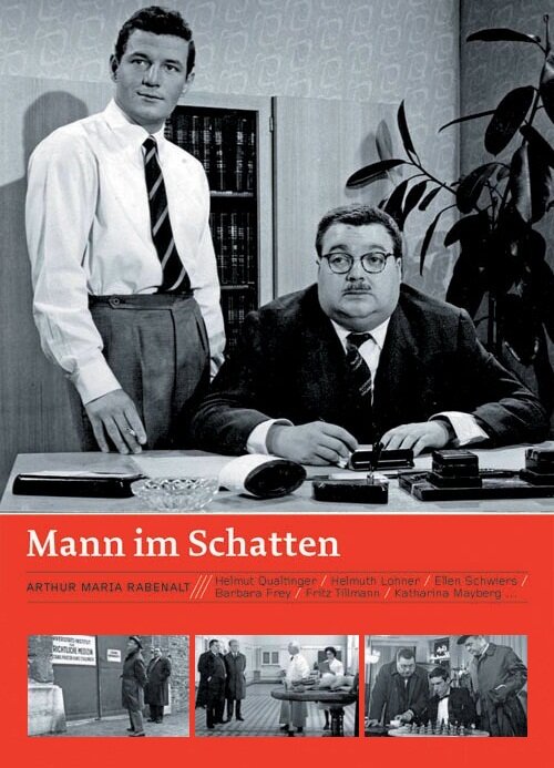 Постер фильма Mann im Schatten