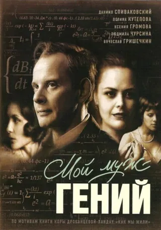 Постер Мой муж — гений (2008)