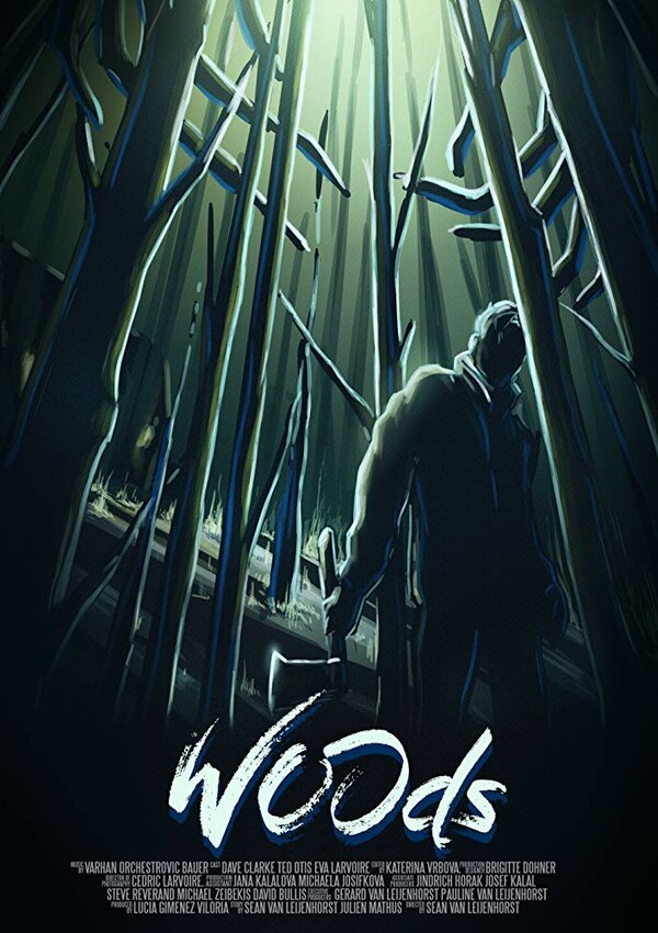 Постер фильма Woods