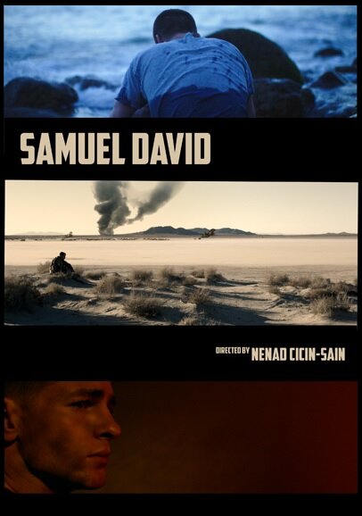 Постер фильма Samuel David