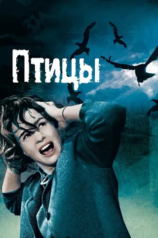 Постер Птицы (1963)