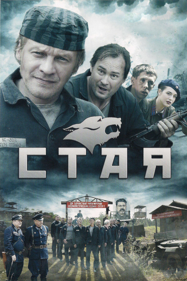 Постер сериала Стая