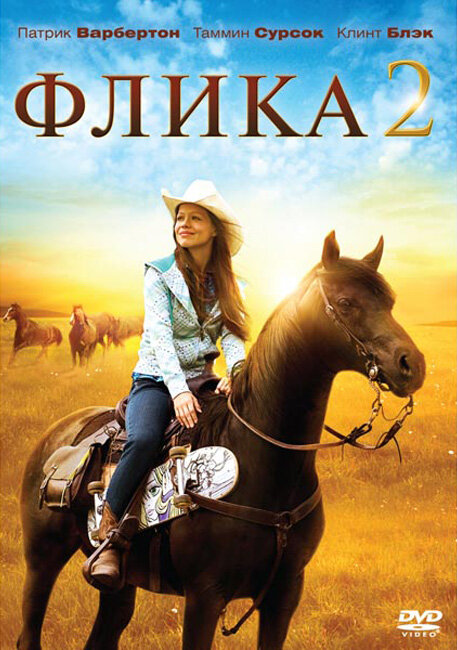 Постер фильма Флика 2