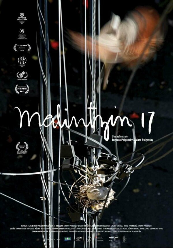 Постер фильма Малинсин 17
