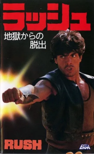 Постер Гнев (1983)