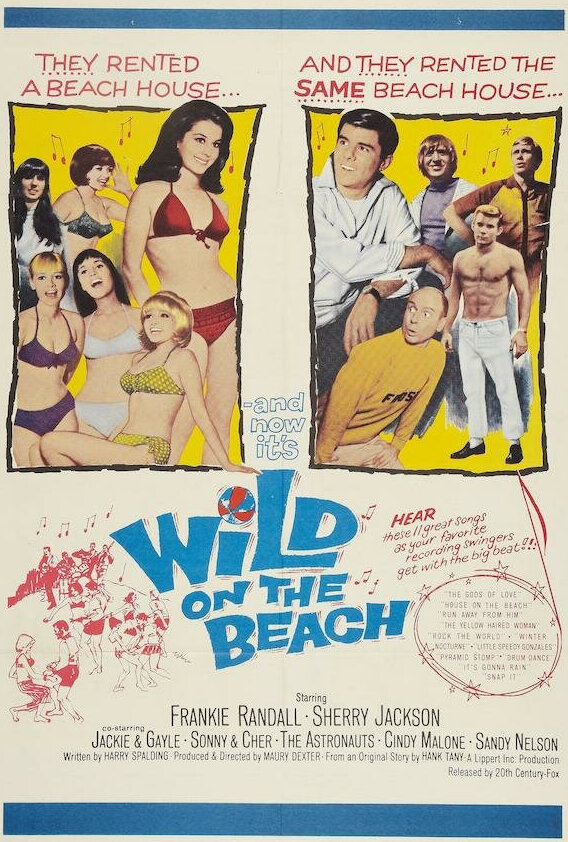 Постер фильма Wild on the Beach