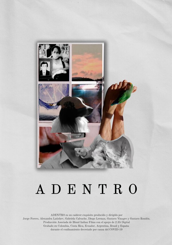 Постер фильма Adentro