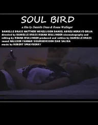 Soul Bird