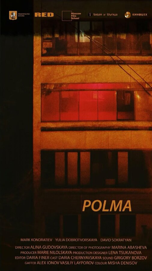 Постер фильма Полма