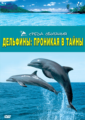 Постер фильма Дельфины: Проникая в тайны