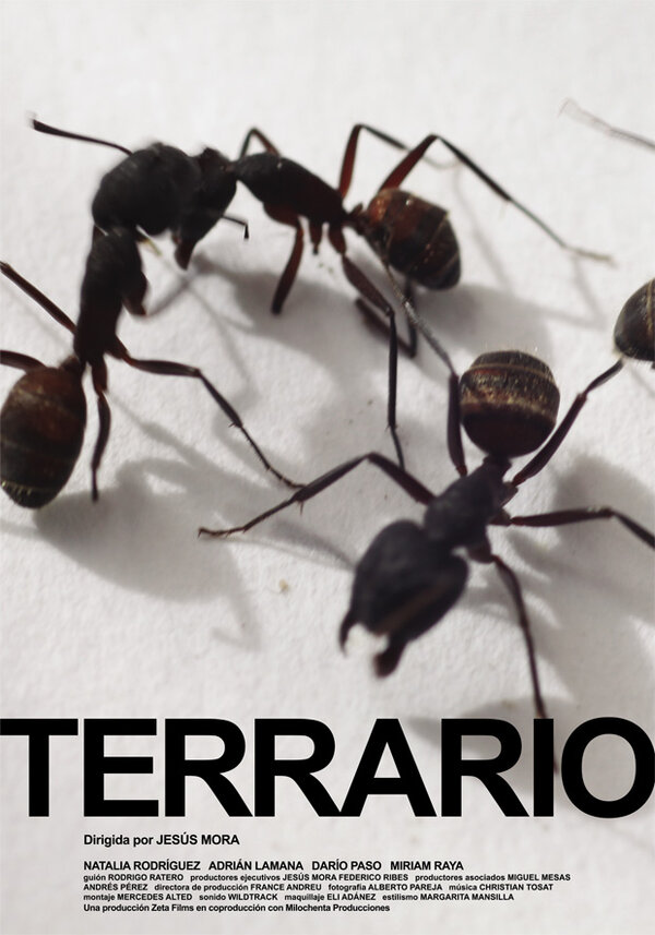 Постер фильма Террарий