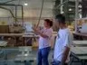 Мелани Махони