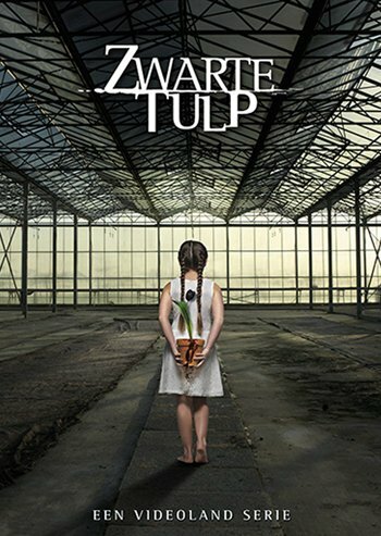 Постер сериала Чёрный тюльпан