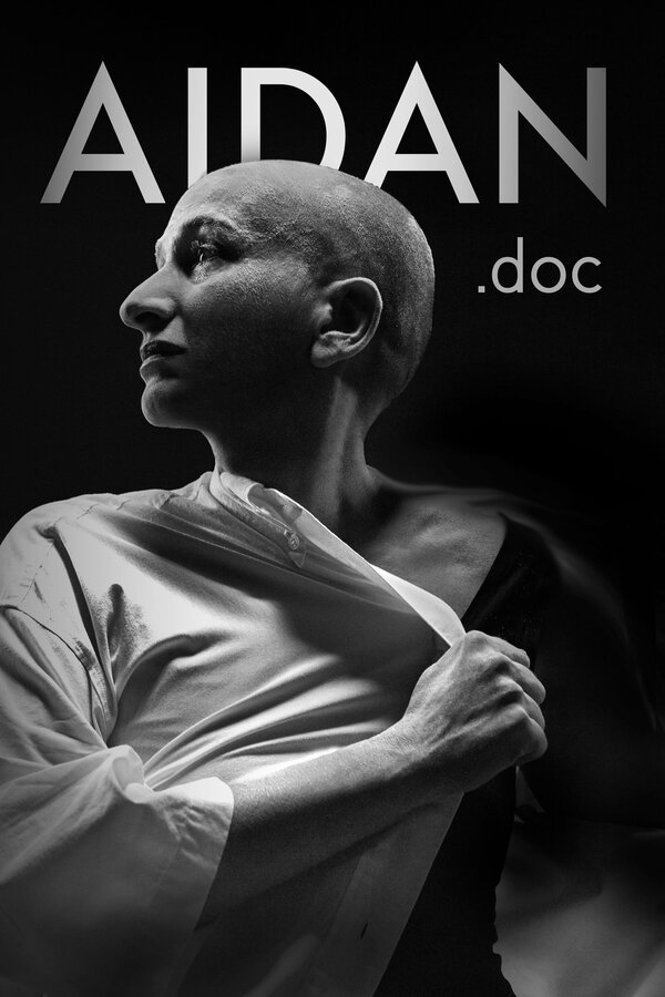 Постер сериала Aidan.doc