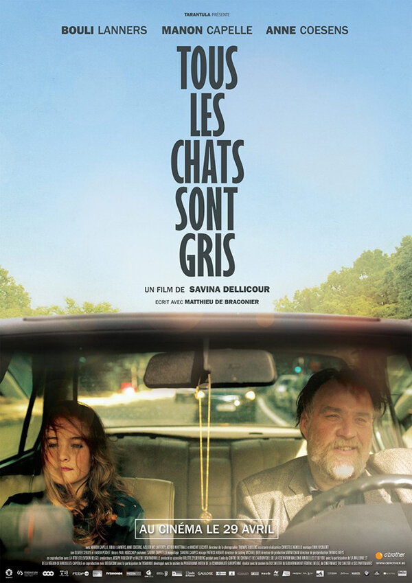 Постер фильма Tous les chats sont gris