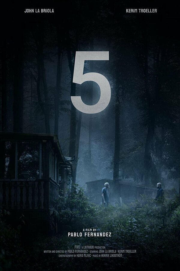 Постер фильма Five