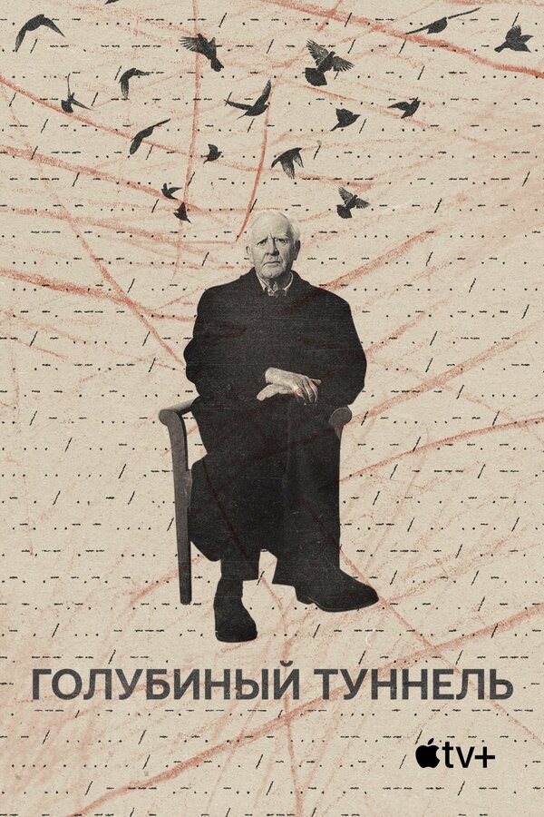 Постер фильма Голубиный туннель