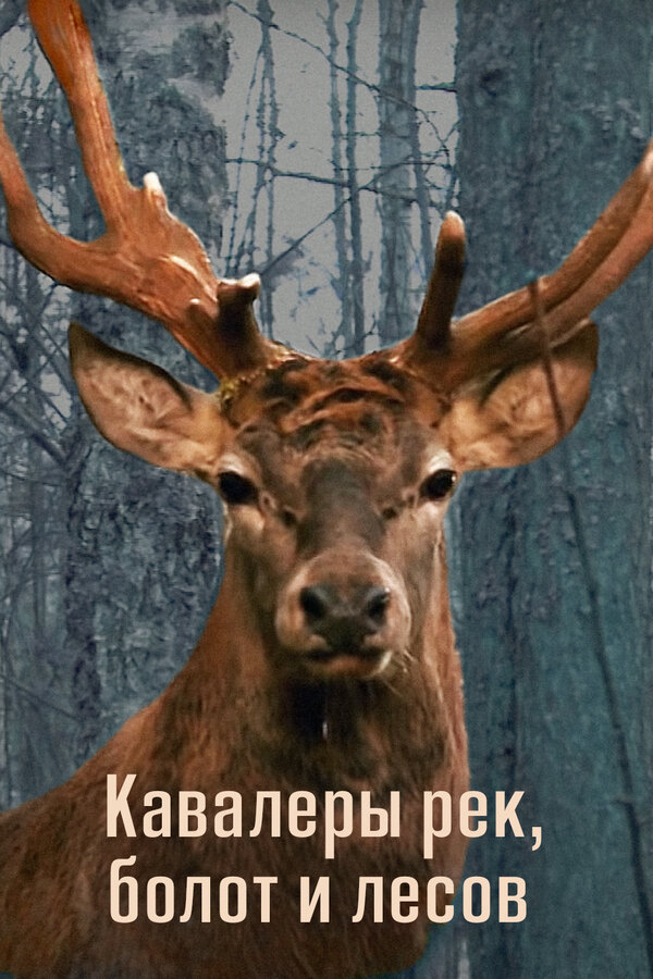 Постер фильма Кавалеры рек, болот и лесов