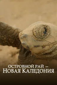 Островной рай – Новая Каледония