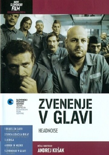 Постер фильма Zvenenje v glavi