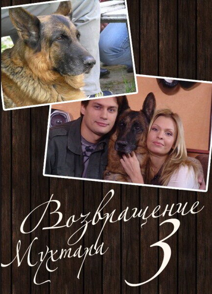 Постер сериала Возвращение Мухтара 3