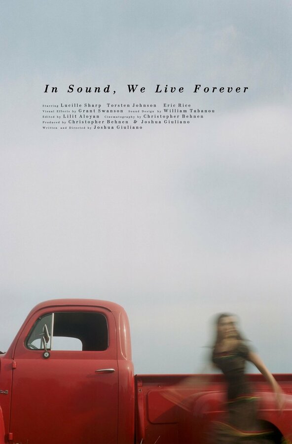 Постер фильма In Sound, We Live Forever