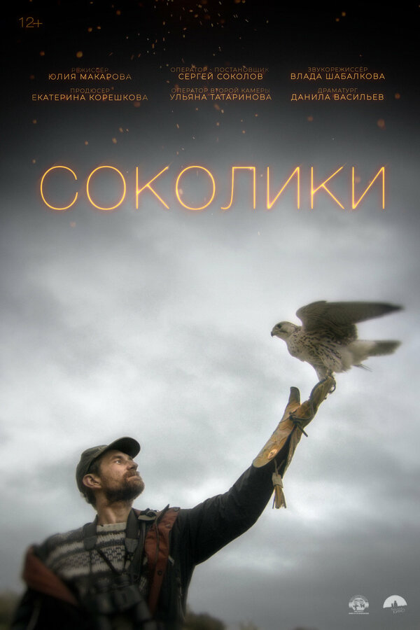 Постер фильма Соколики