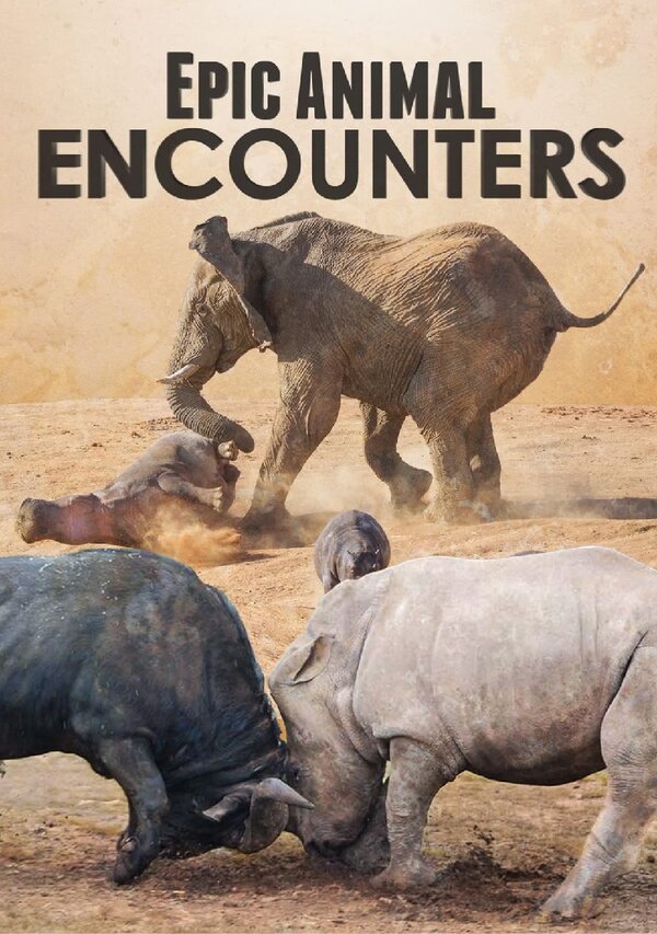Постер сериала Epic Animal Encounters