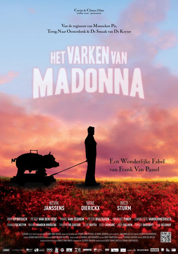 Постер фильма Het varken van Madonna