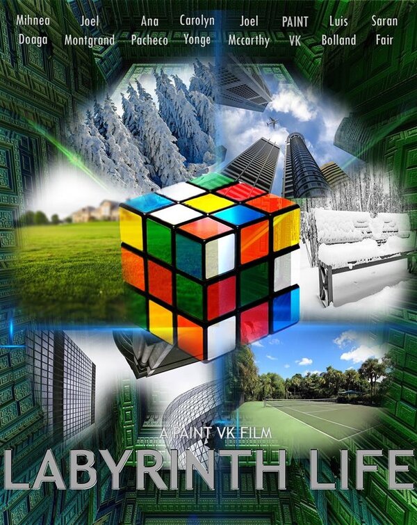 Постер фильма Labyrinth Life