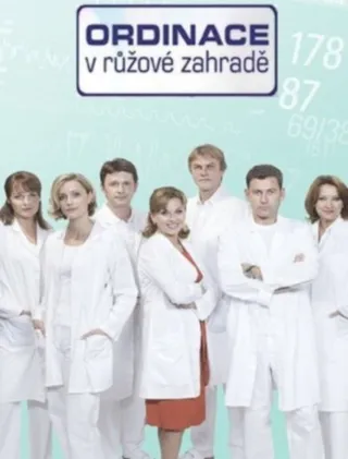 Постер Хирургия в розарии (2005)