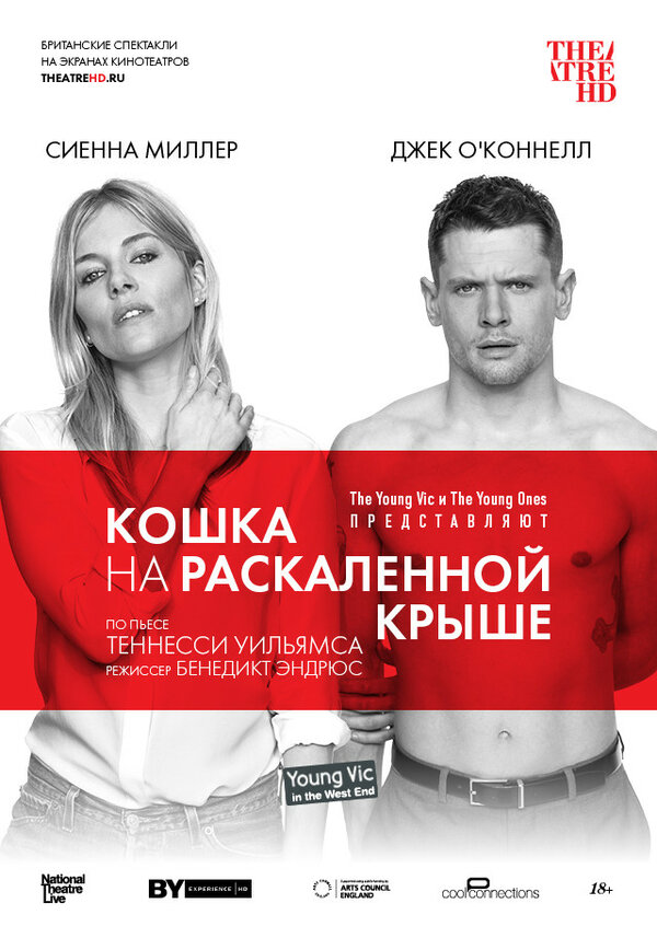 Постер фильма Кошка на раскалённой крыше