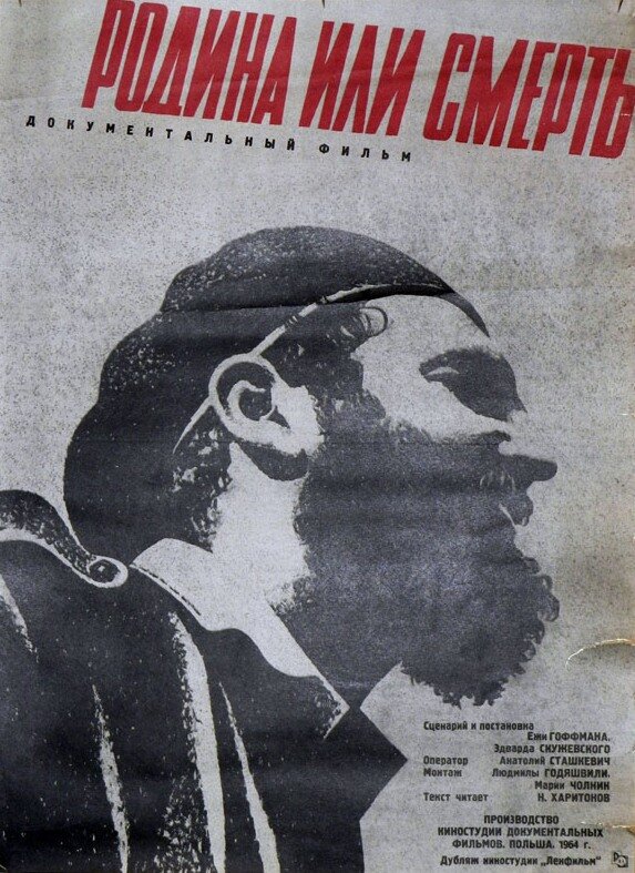 Постер фильма Родина или смерть