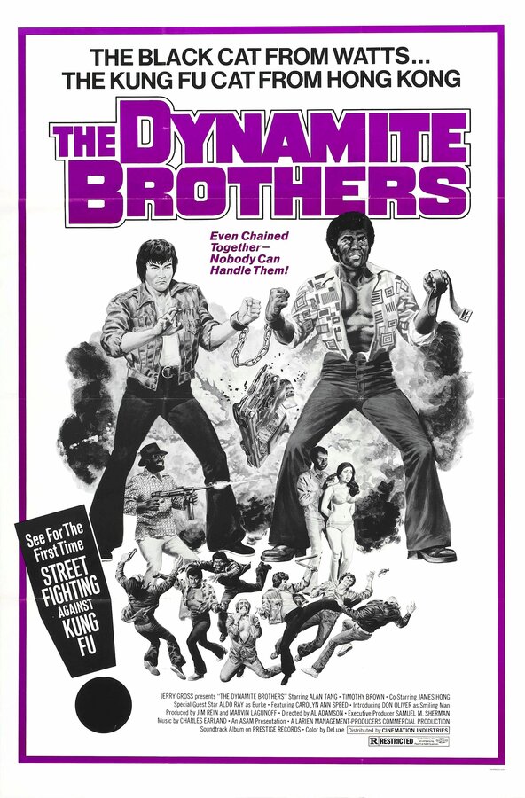 Постер фильма Dynamite Brothers