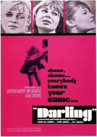 Постер Дорогая (1965)