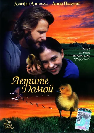 Постер Летите домой (1996)