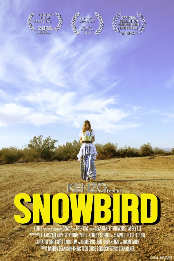 Постер фильма Snowbird