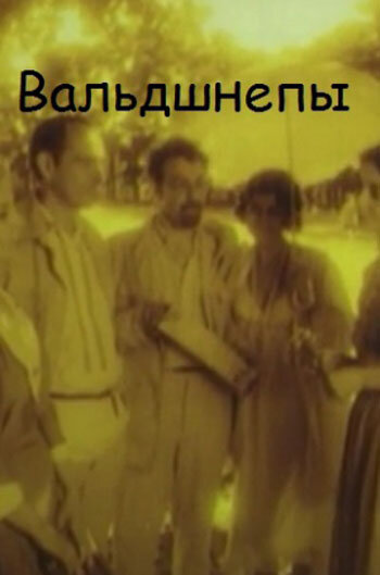 Постер фильма Вальдшнепы