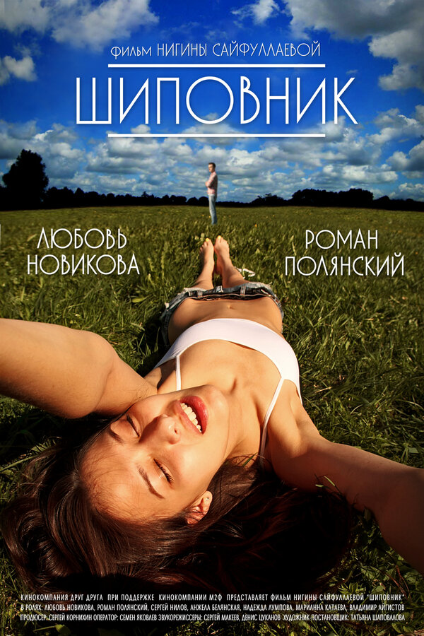 Постер фильма Шиповник