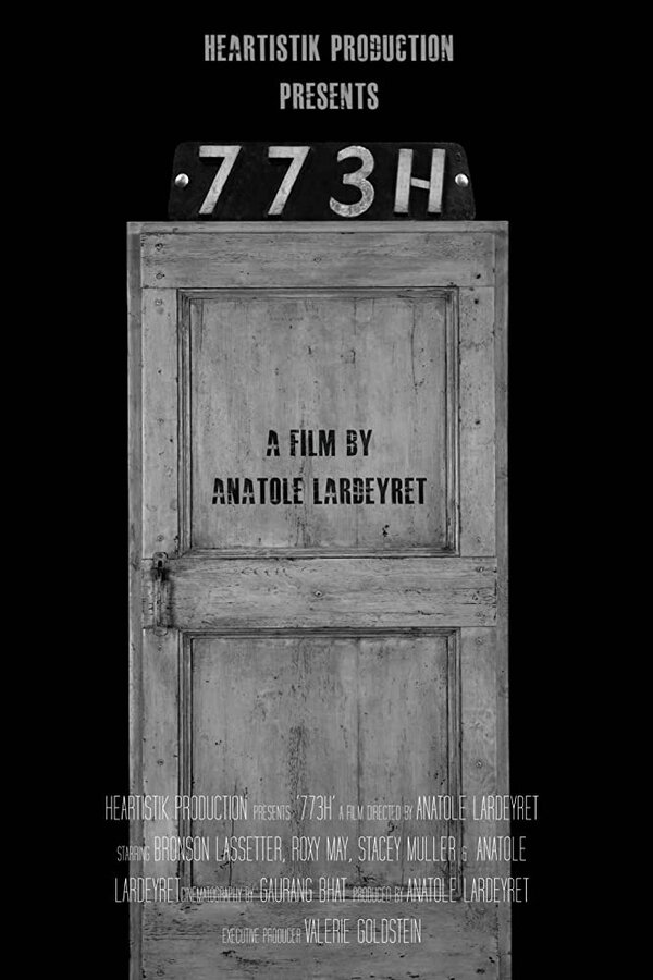Постер фильма 773H