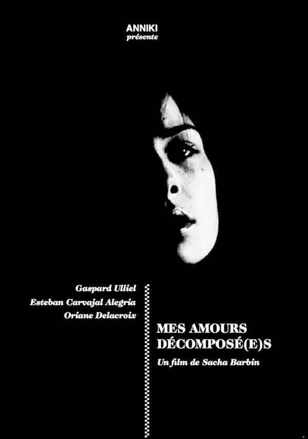 Постер фильма Mes Amours Decompose(e)s