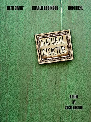 Постер Natural Disasters (2008)