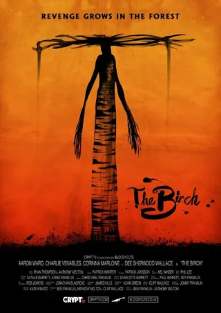 Постер Береза (2016)